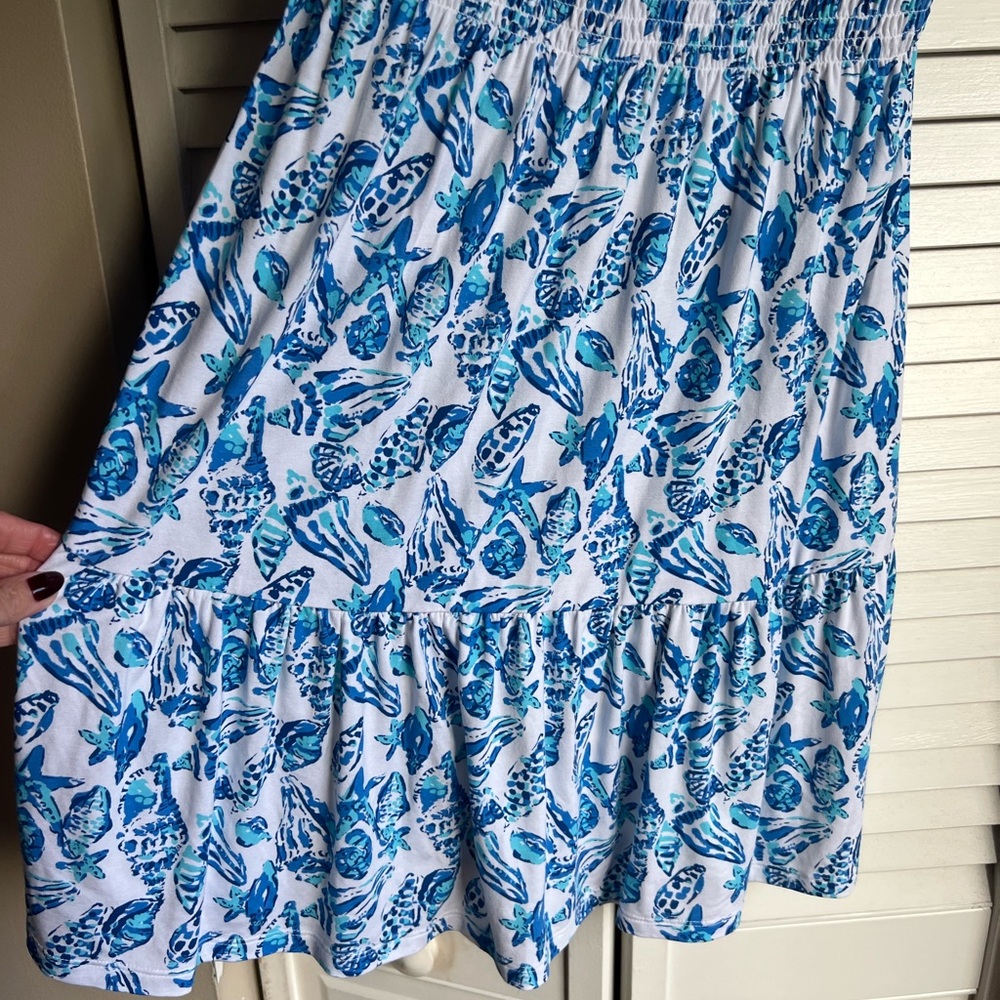 Lilly Pulitzer Blue and White Dress - Picture 5 of 10